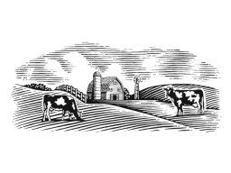Dairy Farm 